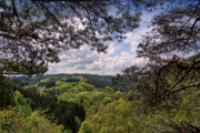 2016 Wanderung Eifel-DSC03519