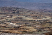 187-2014_Dovrefjell-IMG_5716