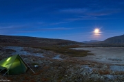 310-2014_Dovrefjell-IMG_2232neu