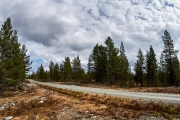 Piste in Mittelschweden durch Taiga