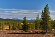 Taiga und Gebirge mit Schnee in Dalarna