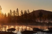 Sonnenaufgang im Moor