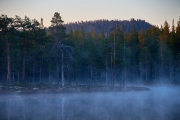 Nebel und Dämmerung im Moor in Schweden