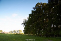 Bussard-2019-01