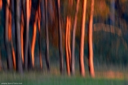 2013_Veluwe_7D-IMG_2062