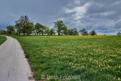 Radtour an der Donau - vor Ehingen
