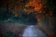 2019-Herbst-im-Dorf-05