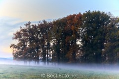 2019-Herbst-im-Dorf-06
