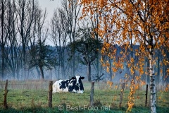 2019-Herbst-im-Dorf-11
