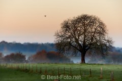 2019-Herbst-im-Dorf-12