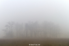 01-Hoge Veluwe 2017