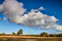 2018- Hoge Veluwe-01