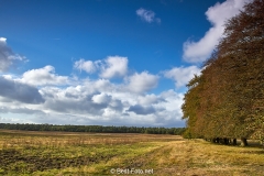 2018- Hoge Veluwe-03