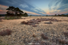 2018- Hoge Veluwe-06