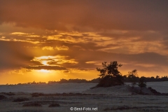 2018- Hoge Veluwe-10