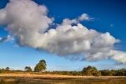 2018- Hoge Veluwe-01