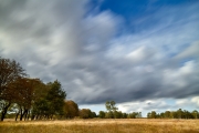 2018- Hoge Veluwe-04