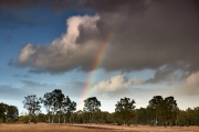 2018- Hoge Veluwe-24