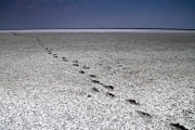 2012_Camargue-0403