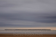 2012_Camargue-0562