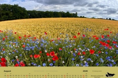 Kalender2020-03-1