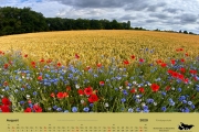 Kalender2020-03-1