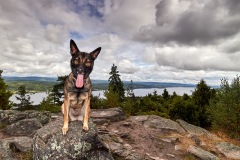 2017 Luna Skandinavien-03