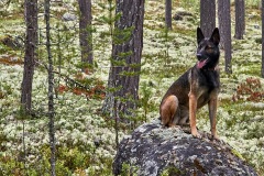 2017 Luna Skandinavien-04