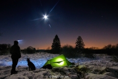 Winternacht im Hohen Venn bei Vollmond