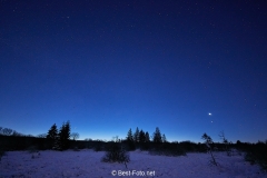 Winternacht im Hohen Venn mit Blick auf den südlichen Himmel