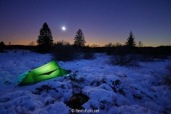 Winternacht im Hohen Venn. Im Vordegrund schläft Luna.