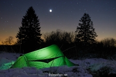 Winternacht im Hohen Venn