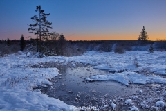 Winternacht im Hohen Venn kurz vor Sonnenaufgang