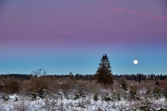 Winternacht im Hohen Venn kurz vor Sonnenaufgang