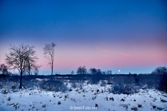 Winternacht im Hohen Venn kurz vor Sonnenaufgang