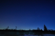 Winternacht im Hohen Venn mit Blick auf den südlichen Himmel