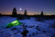 Winternacht im Hohen Venn. Im Vordegrund schläft Luna.