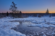 Winternacht im Hohen Venn kurz vor Sonnenaufgang