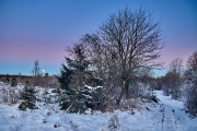 Winternacht im Hohen Venn kurz vor Sonnenaufgang