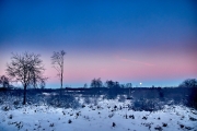 Winternacht im Hohen Venn kurz vor Sonnenaufgang