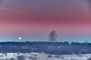 Winternacht im Hohen Venn kurz vor Sonnenaufgang