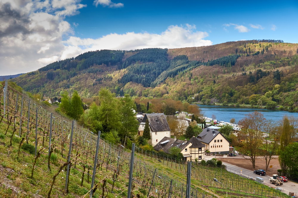 BernkastelKues; Fahrrad, Camping, Eifel, Fahrradtour