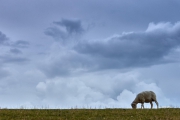 Texel 2016-04