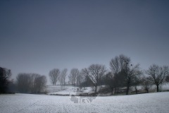 2021-Winter-13