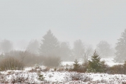 Winter in der Eifel und im Hohen Venn-03