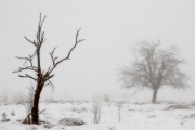 Winter in der Eifel und im Hohen Venn-04