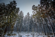 Winter in der Eifel und im Hohen Venn-10