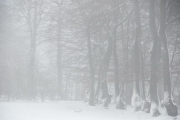 Winter in der Eifel und im Hohen Venn-19