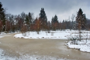 Winter in der Eifel und im Hohen Venn-20