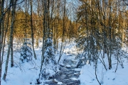 Winter in der Eifel und im Hohen Venn-22